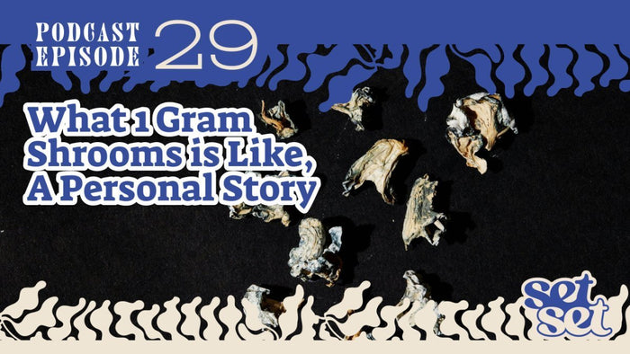 1 Gram Shrooms: What a Low-Dose Trip Feels Like - SetSet