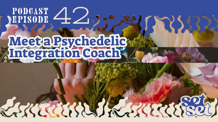 #42 Meet a Psychedelic Integration Coach - SetSet