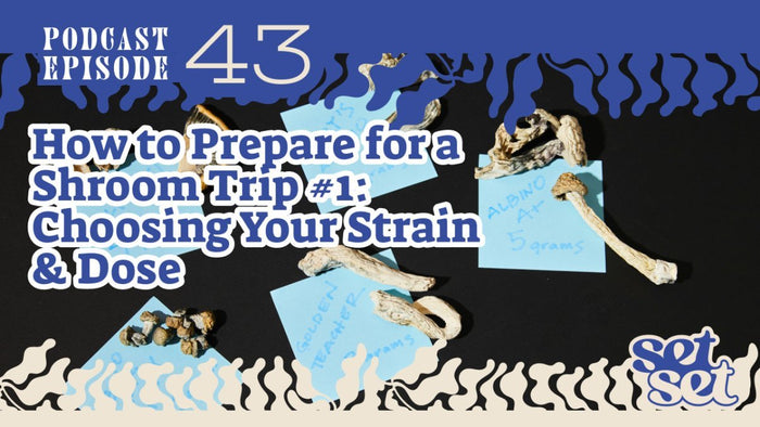 How to Prepare for a Shroom Trip #1: Choosing Your Strain & Dose - SetSet
