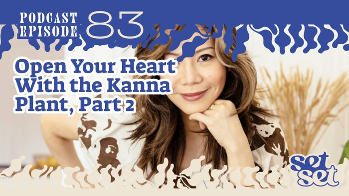 Kanna Plant: Discover Its Heart-Opening Benefits Part 2 - SetSet