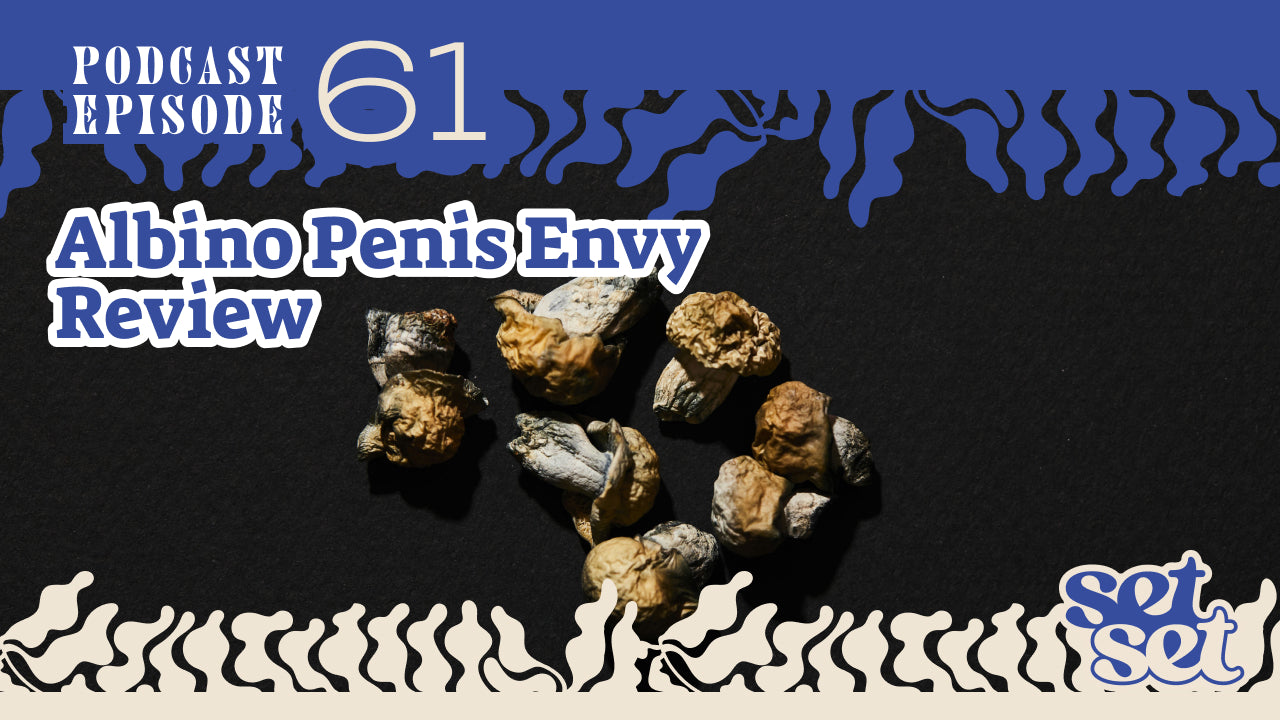 Albino Penis Envy Review