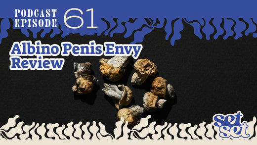 Albino Penis Envy Review