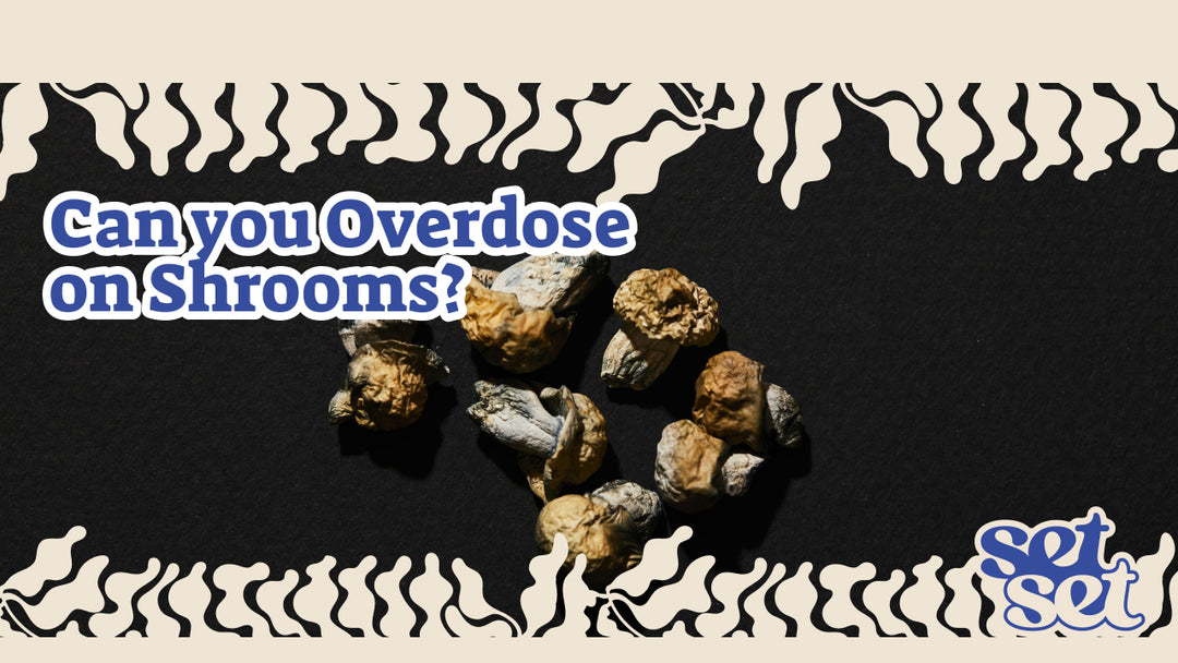 Can You Overdose on Shrooms?