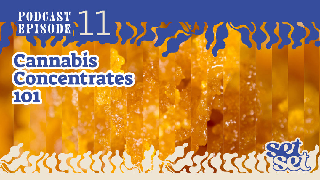 Cannabis Concentrates 101