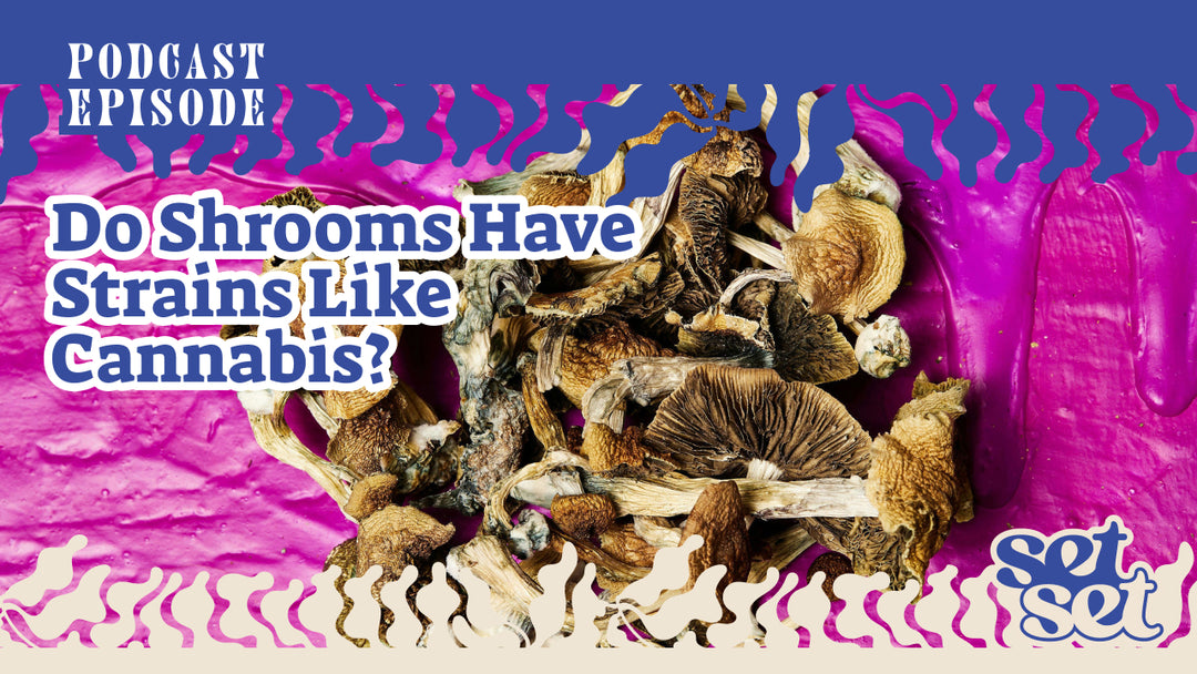 Do Shrooms Have Strains Like Cannabis?