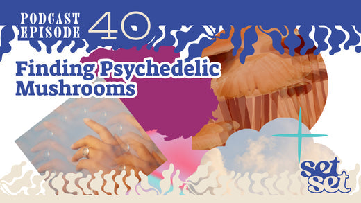 Finding Psychedelic Mushrooms