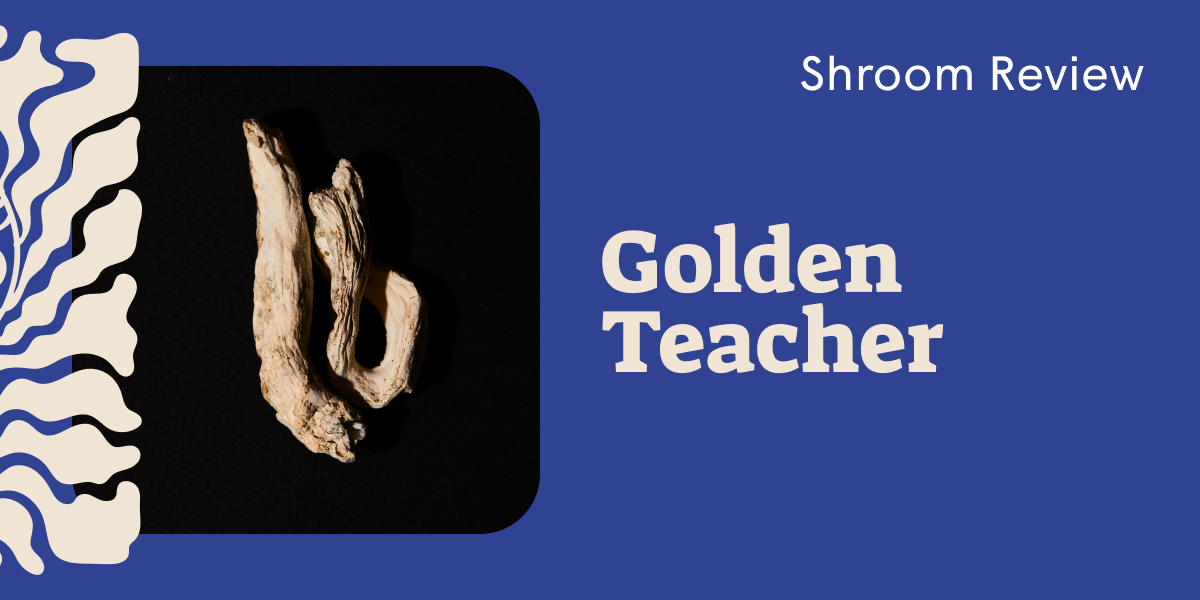 Golden Teacher