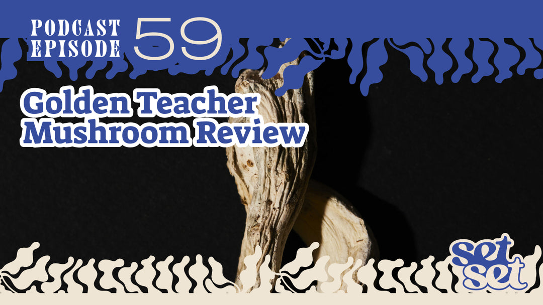 Golden Teacher Mushroom Review