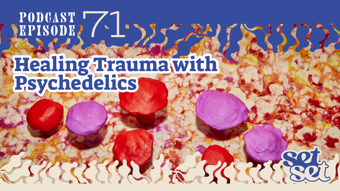 Healing Trauma with Psychedelics