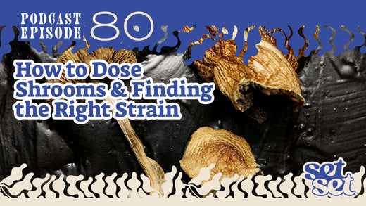 How To Dose Shrooms & Finding The Right Strain