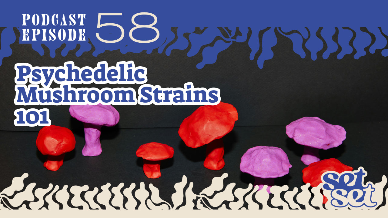 Psychedelic Mushroom Strains 101