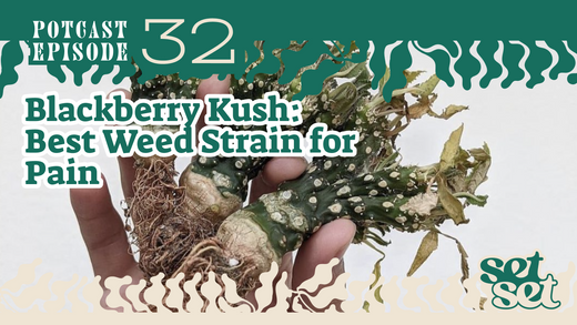 Blackberry Kush: Best Weed Strain for Pain