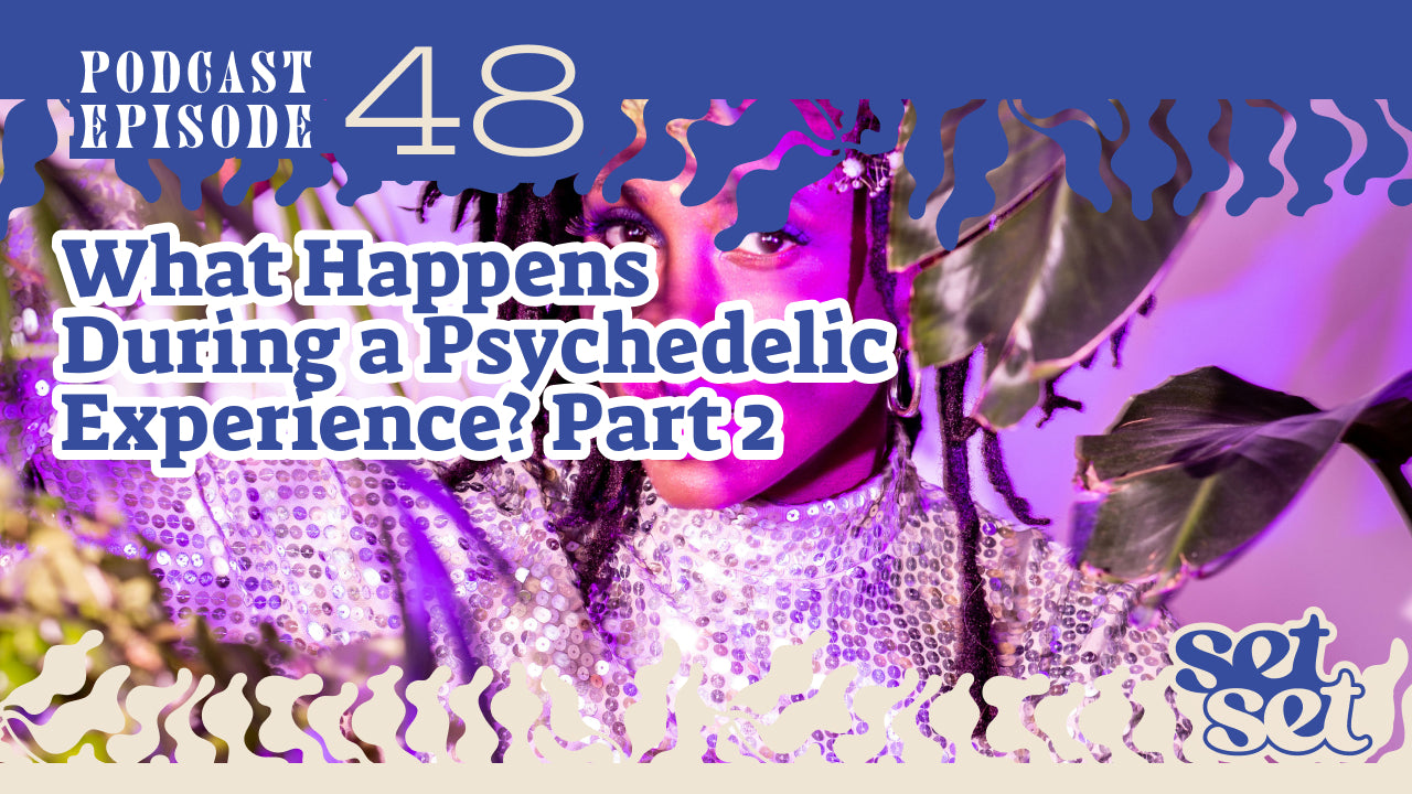 What Happens During a Psychedelic Experience? Part 2