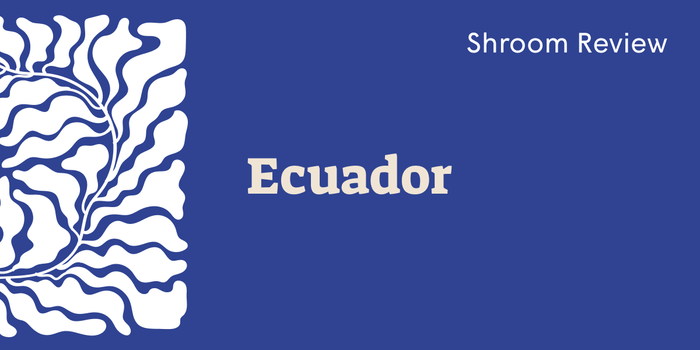 Ecuador Shroom: A Classic Psychedelic Journey from the Andes - SetSet