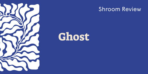 Ghost Mushrooms: The Complete Guide to This Potent Psychedelic Strain - SetSet