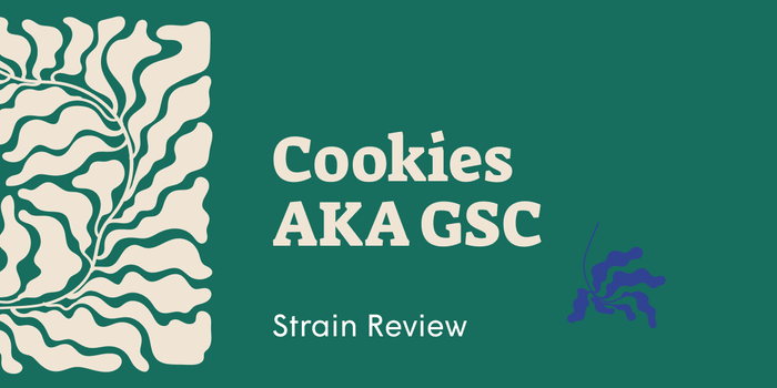 Girl Scout Cookies Strain: The Cannabis Powerhouse Women Love - SetSet
