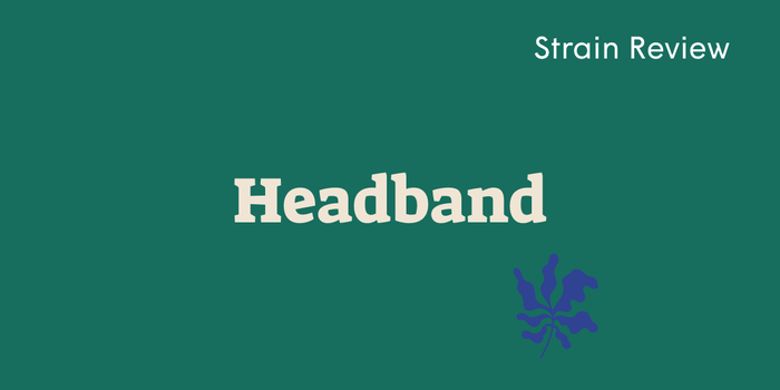 Headband Weed Strain: The Creative, Long-Lasting High Women Love - SetSet