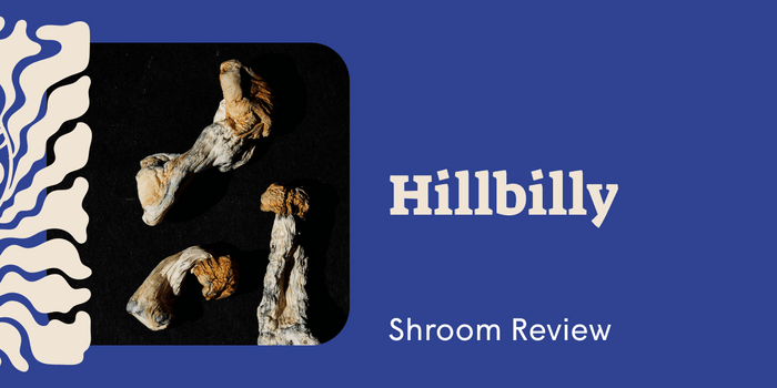 Hillbilly Mushrooms: A Complete Guide to Effects, Experiences, and Cultivation - SetSet