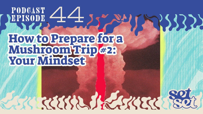 How to Prepare for a Mushroom Trip #2: Your Mindset - SetSet