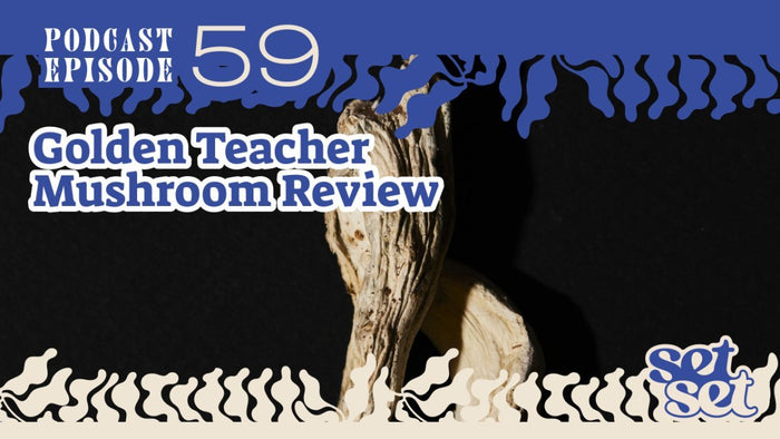 What Is Golden Teacher Mushroom? A Deep Dive Into Its Benefits, Use & Safe Dosing - SetSet