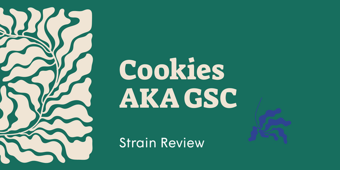Girl Scout Cookies Strain: Why Women Love This Cannabis Classic - SetSet