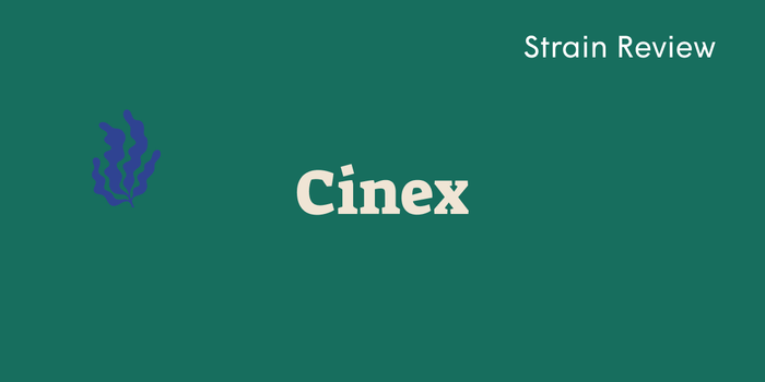 Green rectangle with 