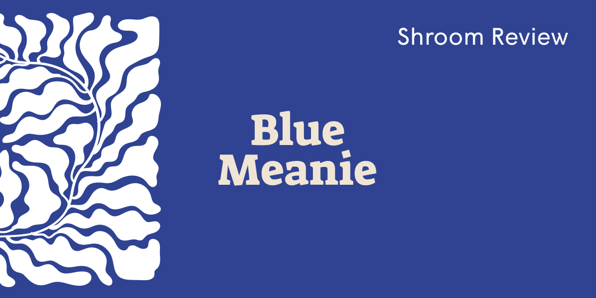 Blue background with abstract white coral shapes and bold title 