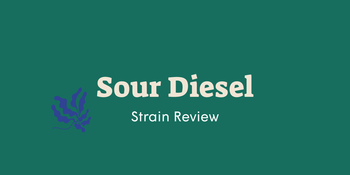 Sour Diesel strain review title graphic with purple leaf icon on a dark green background.