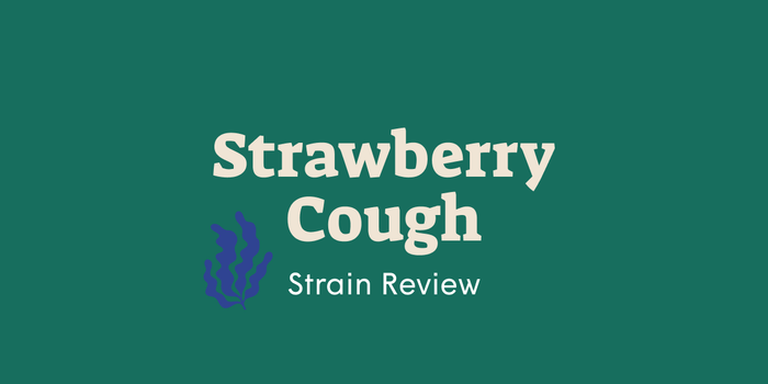 Strawberry Cough strain review image with large text and purple cannabis leaf illustration on green background.