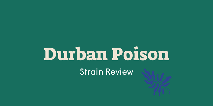 Durban Poison strain review title image with clean font and purple cannabis leaf on green background.