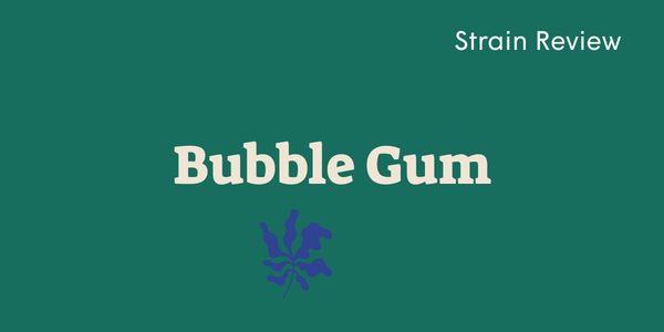 Bubble Gum strain review graphic with playful serif text and a purple cannabis leaf on green background.