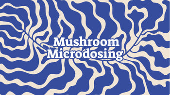 Rectangle with cream background and wavy foliage overlay and text 