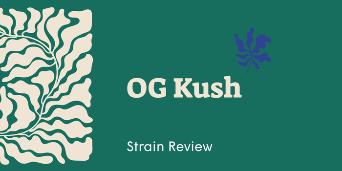 Is OG Kush Sativa or Indica? Unpacking the Legendary Strain - SetSet