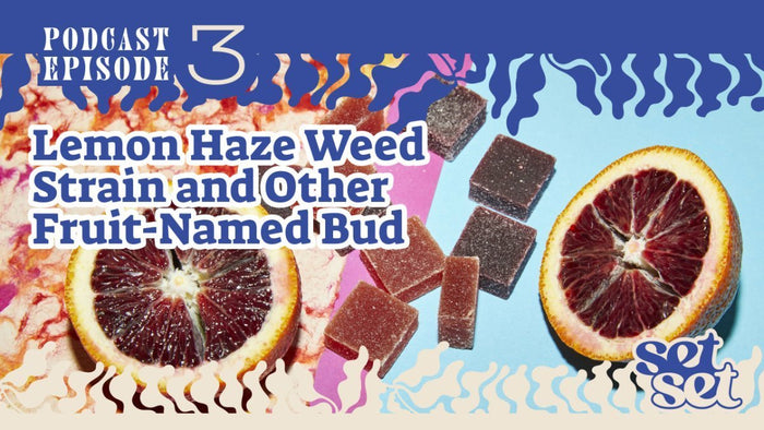 Lemon Haze Weed Strain and Other Fruit-Named Bud - SetSet