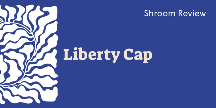 Liberty Cap: The World's Most Widespread Psychedelic Mushroom - SetSet