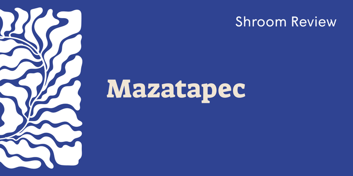 Mazatapec Mushroom: A Gentle Gateway to Psychedelic Healing - SetSet
