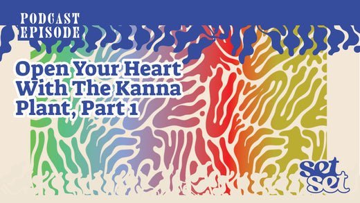 Open Your Heart With the Kanna Plant, Part 1 - SetSet