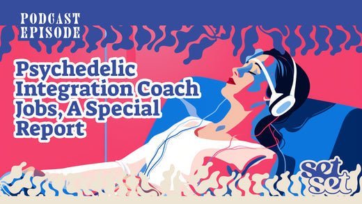 Psychedelic Integration Coach Jobs, A Special Report - SetSet