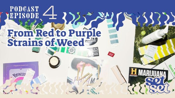 Purple Strains of Weed: Colorful Cannabis for Calm and Clarity - SetSet
