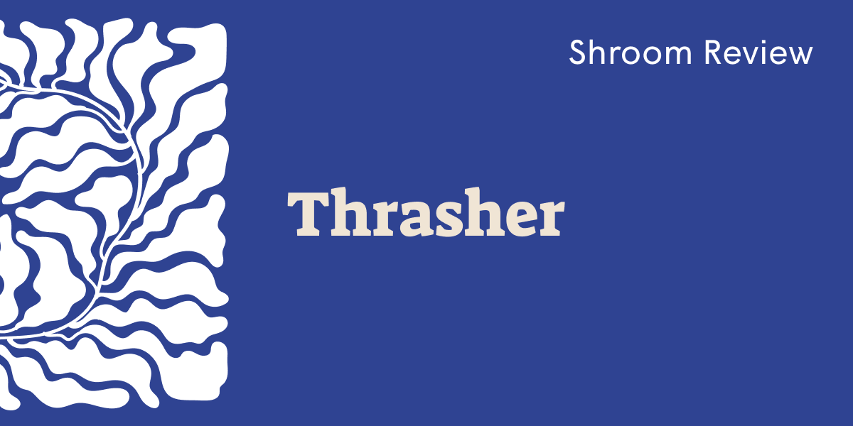 Thrasher Shroom: Fast-Onset, Long-Lasting Mushroom Journey - SetSet
