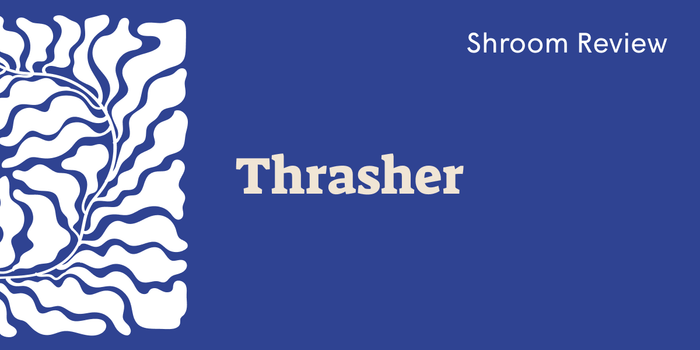 Thrasher Shroom: Fast-Onset, Long-Lasting Mushroom Journey - SetSet