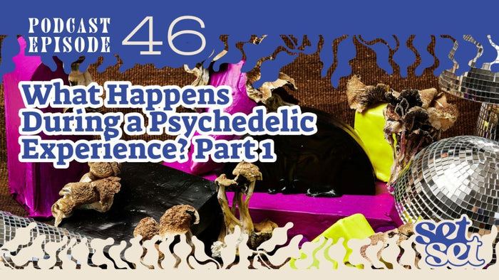 What Happens During a Psychedelic Experience? Part 1 - SetSet