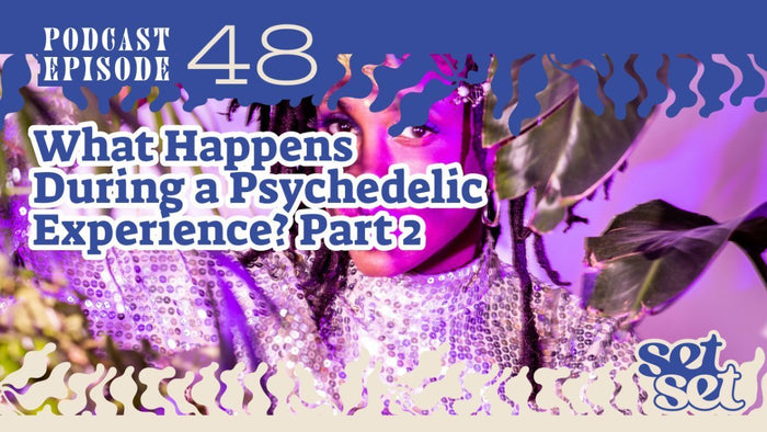 What Happens During a Psychedelic Experience? Part 2 - SetSet