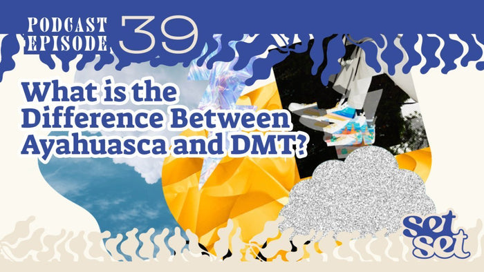 What is the Difference Between Ayahuasca and DMT? - SetSet