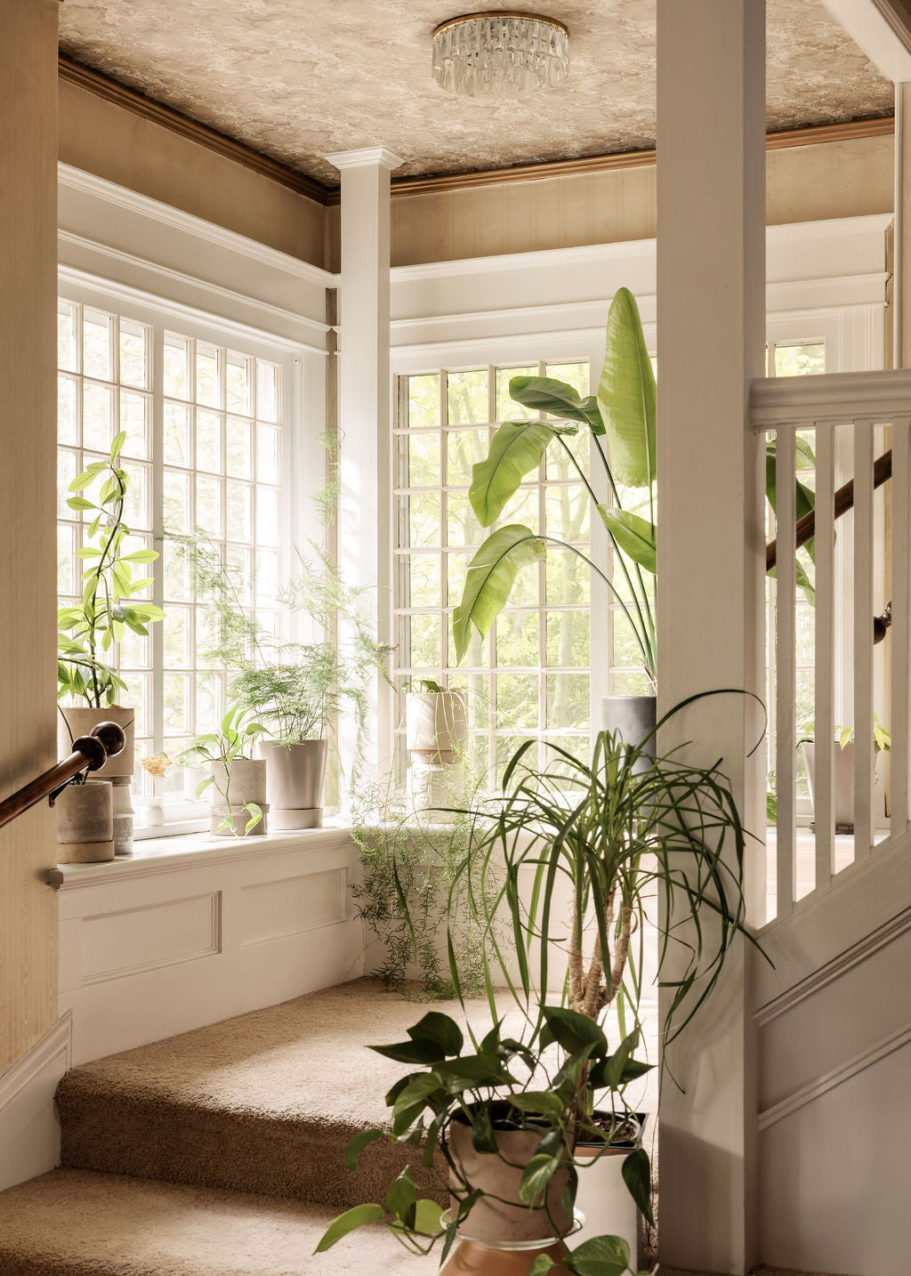 Microdosing Events for Women in Seattle