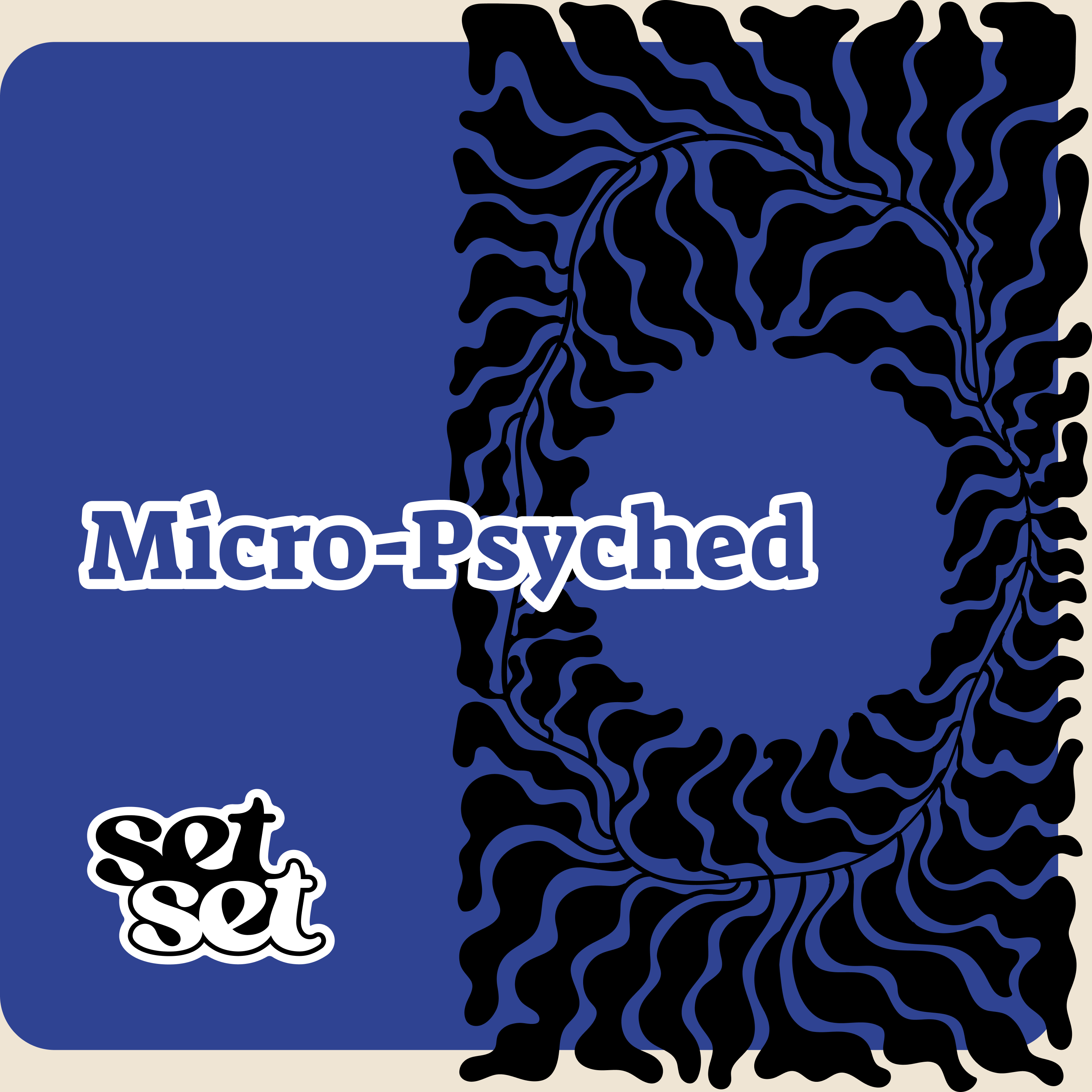 Micro-Psyched Program