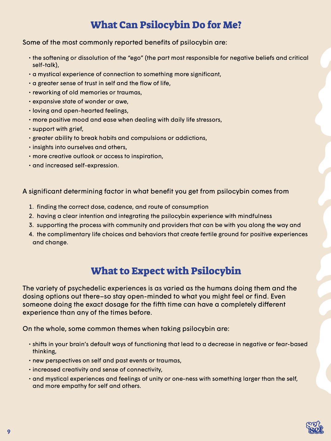 Psilocybin Guide