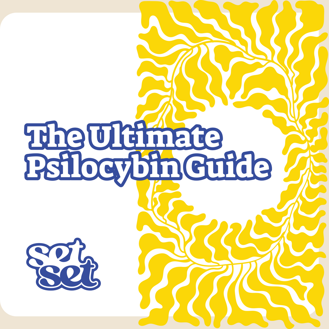 Psilocybin Guide