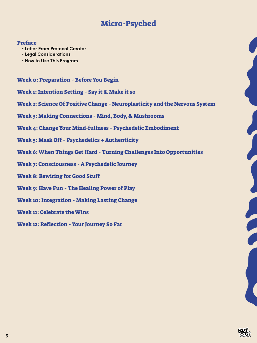 DIY Microdosing Protocol - SetSet