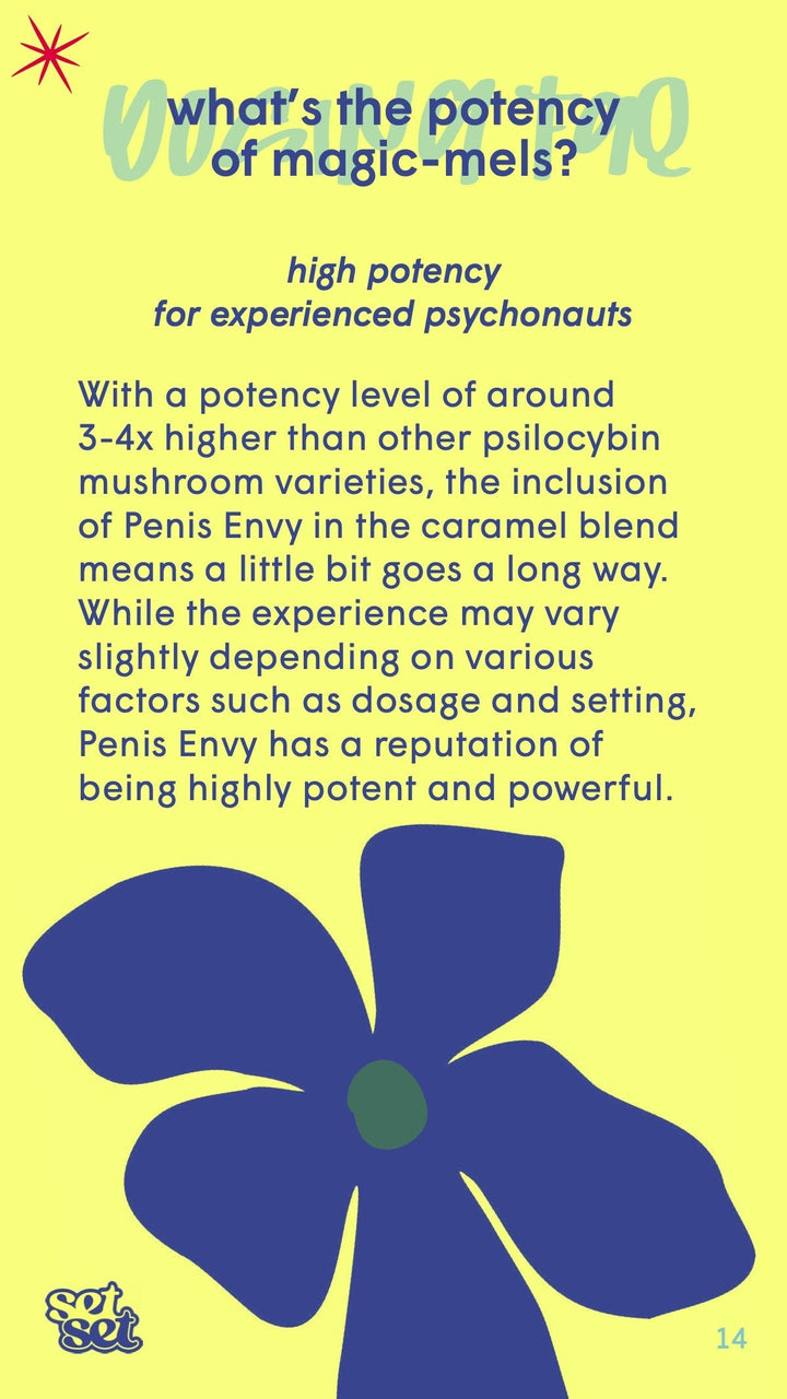 Magic - Mels Guide + Gift✨ - SetSet